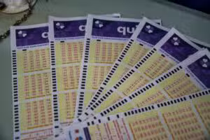 Último resultado Quina 7015 não tem vencedor e acumula bolada de R$ 7,5 milhões
