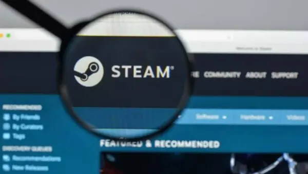 Steam