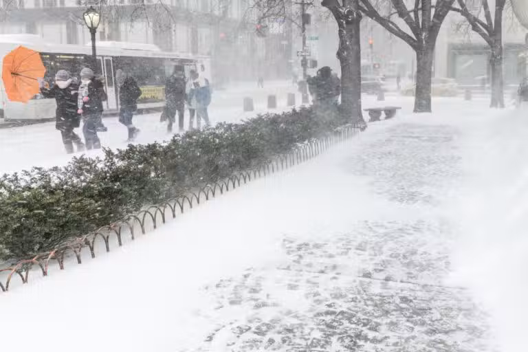 Tempestade de neve