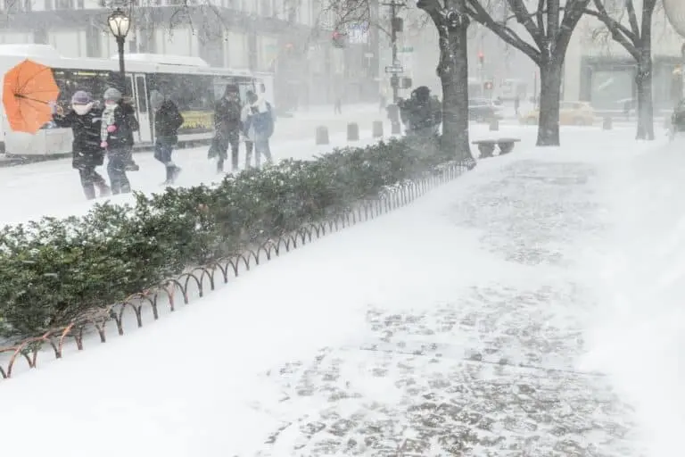 Tempestade de neve