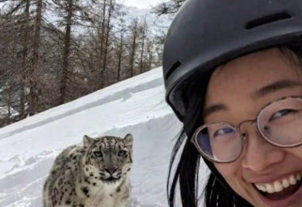 Tursita atacada por Leopardo