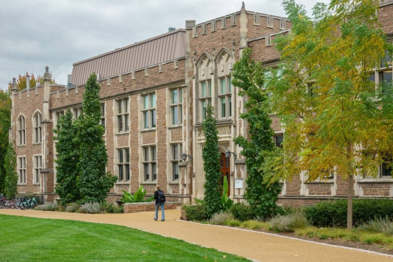 Universidade Washington em St. Louis