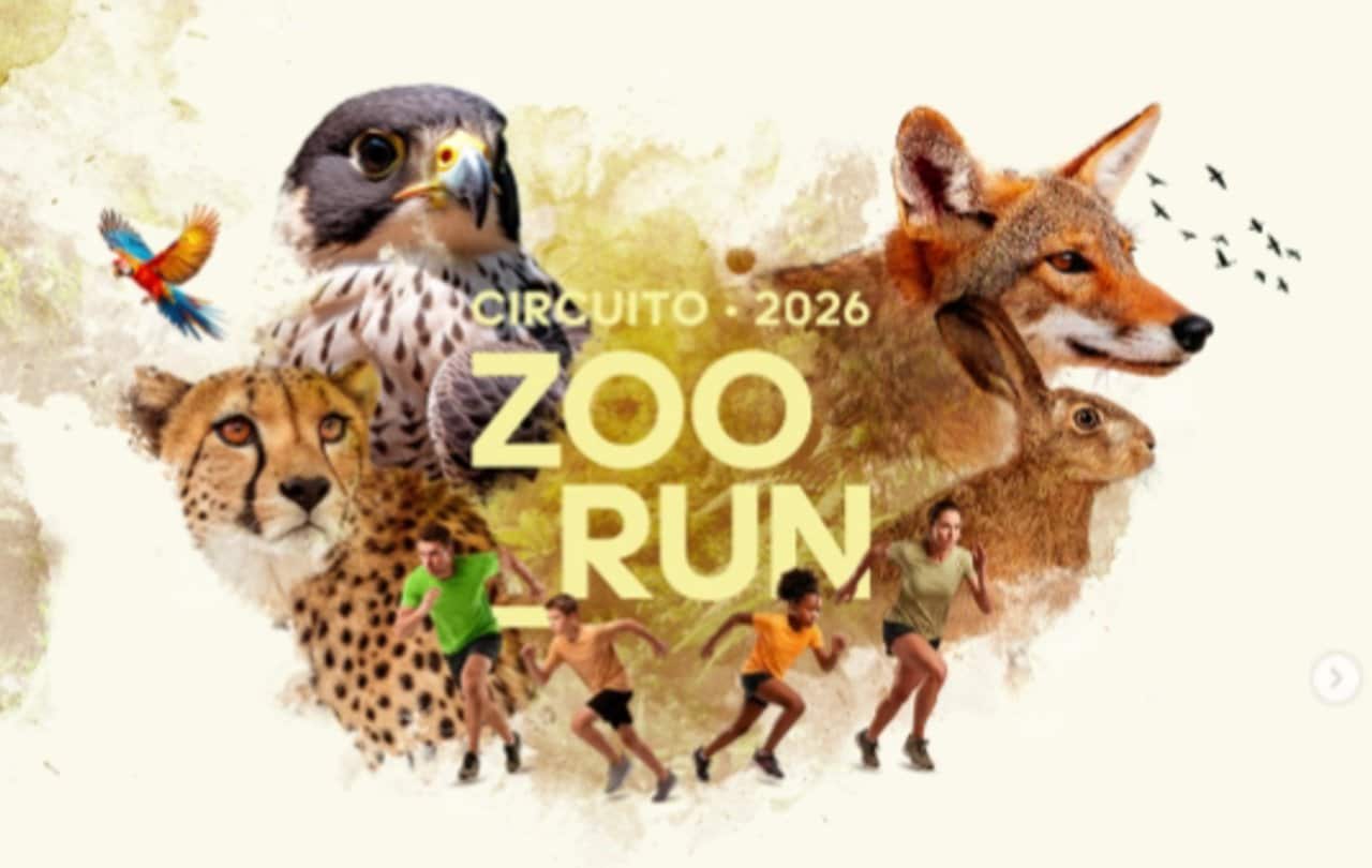 Circuito Zoo Run - Instagram