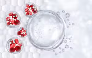 Transplante de células estaminais coloca homem de 63 anos em remissão do VIH em Oslo