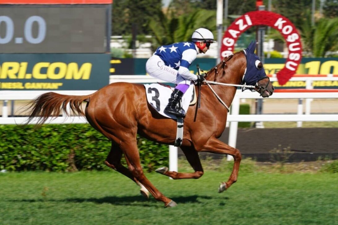 corrida de cavalo