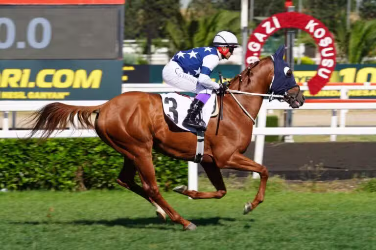 corrida de cavalo