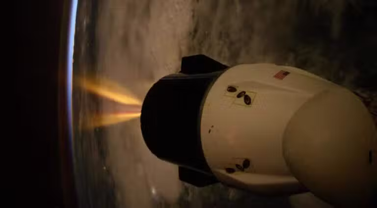 Espaçonave Dragon da SpaceX - Divulgação/ Nasa