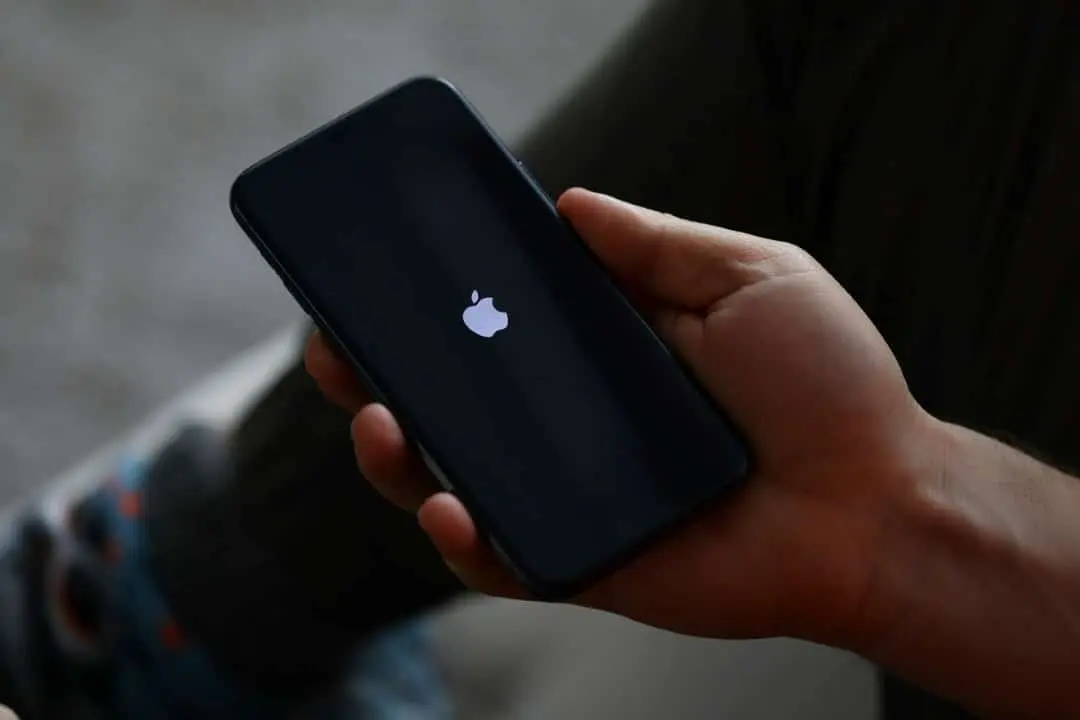 Apple, celular