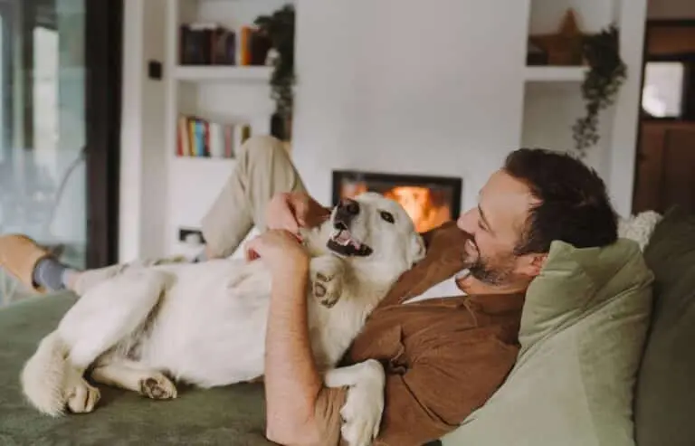 Cachorro e homem, pet, animal de estimação
