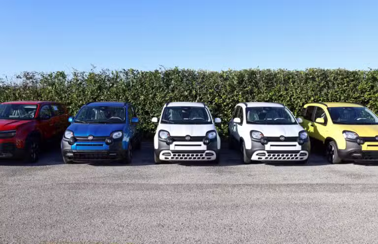 Fiat Pandina