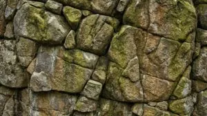 Die Analyse 8.000 Jahre alter Keramik enthüllt komplexe Rezepte von Jägern im alten Europa