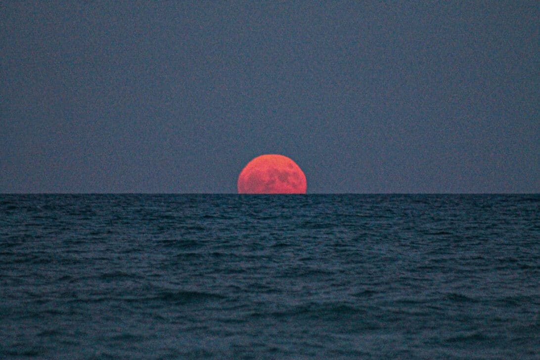 Lua rosa