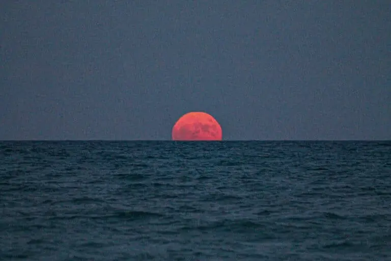 Lua rosa