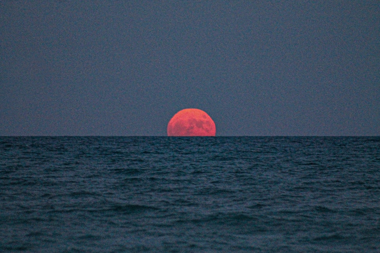 Lua rosa