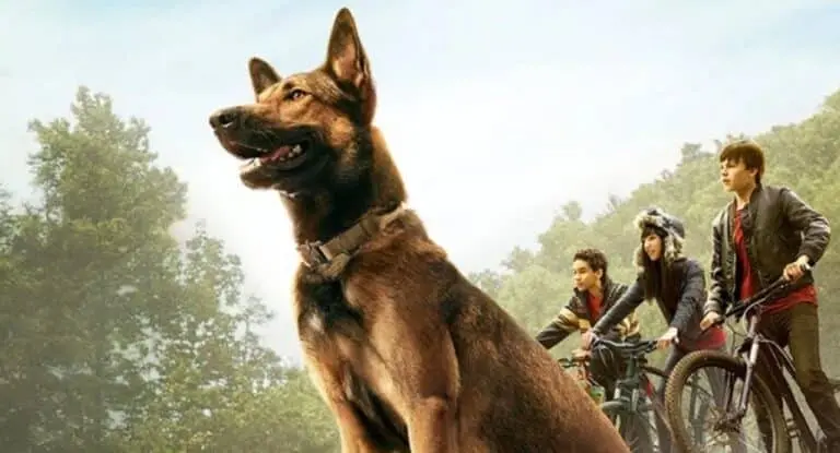 Max O Cão Herói