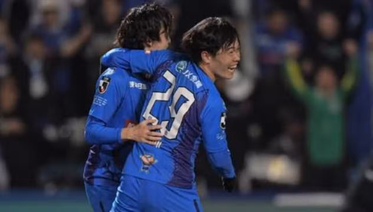 Mito HollyHock