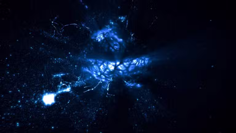 Núcleo de partícula elementar, neutrino
