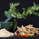 Planta ashwagandha, ervas