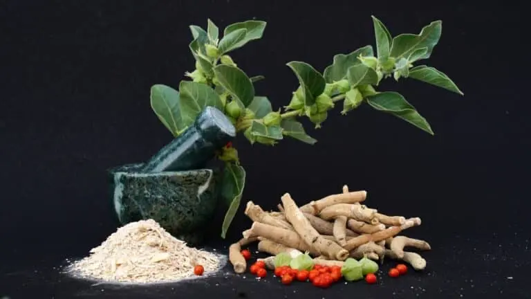 Planta ashwagandha, ervas