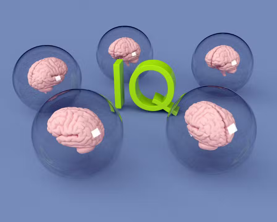 QI, conceito de inteligência, cérebro