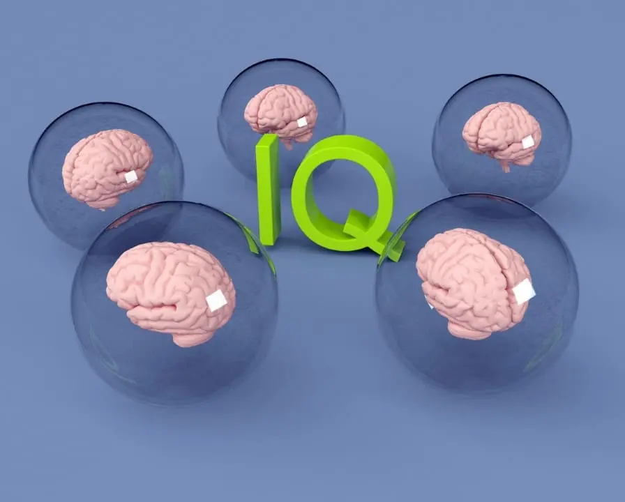 IQ, concepto de inteligencia, cerebro