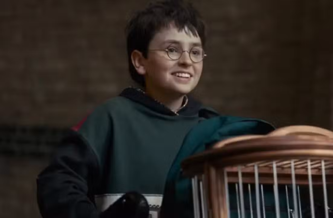 Série Harry Potter