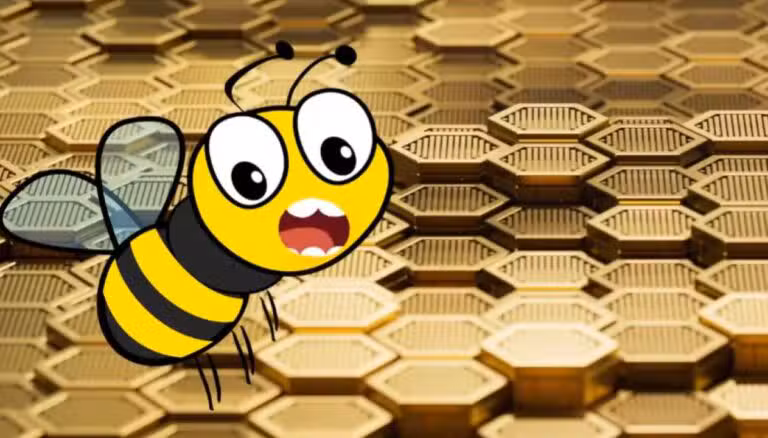 Spelling Bee