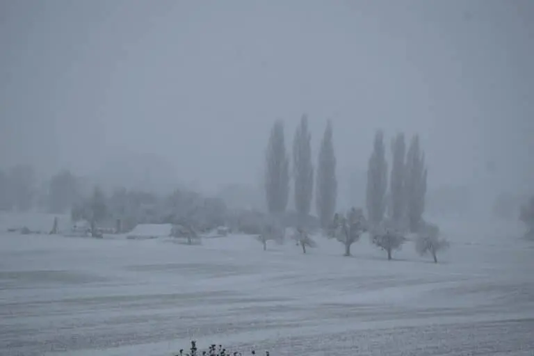 Tempestade de Neve