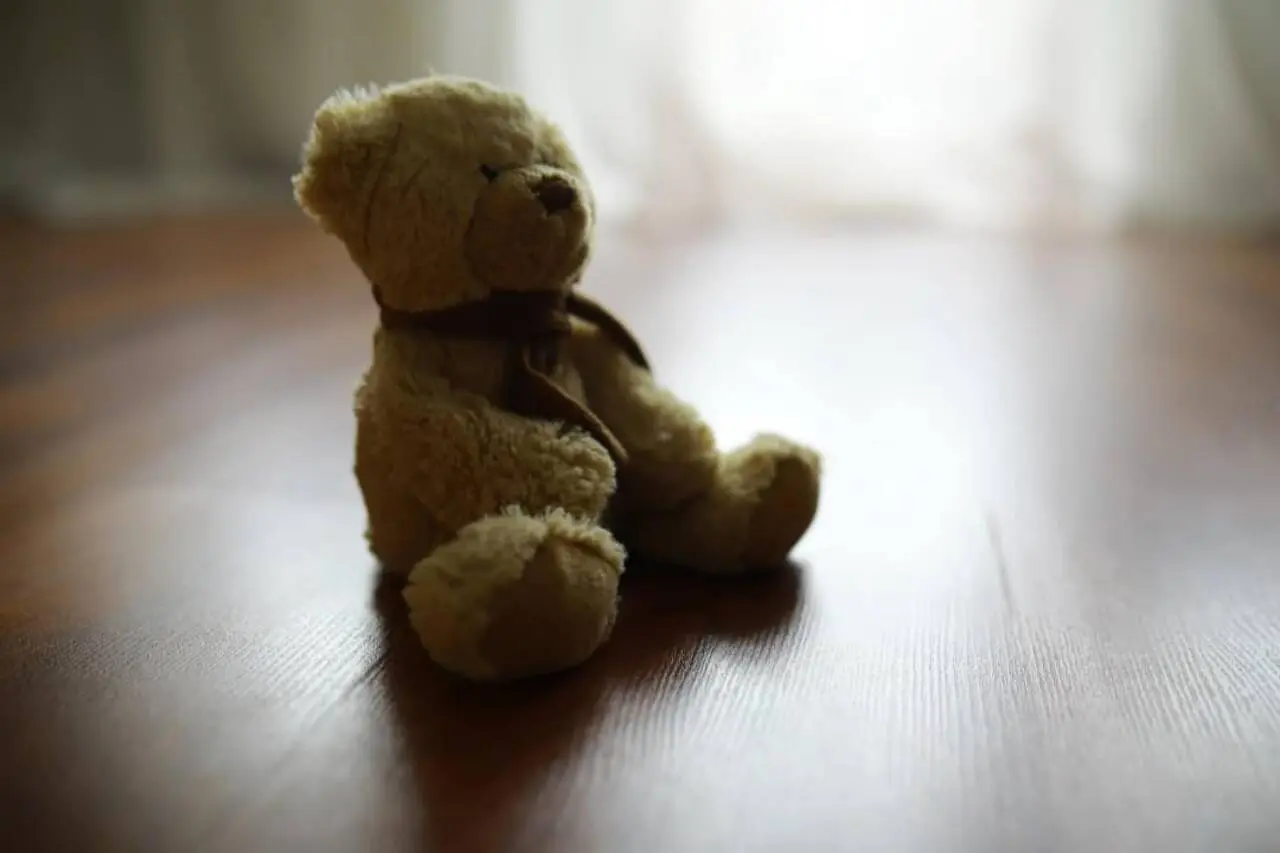 Urso de pelúcia
