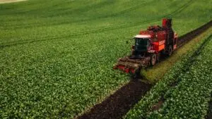 وفود من الولايات المتحدة والصين تتفقان على اتفاقيات زراعية جديدة خلال المفاوضات في باريس