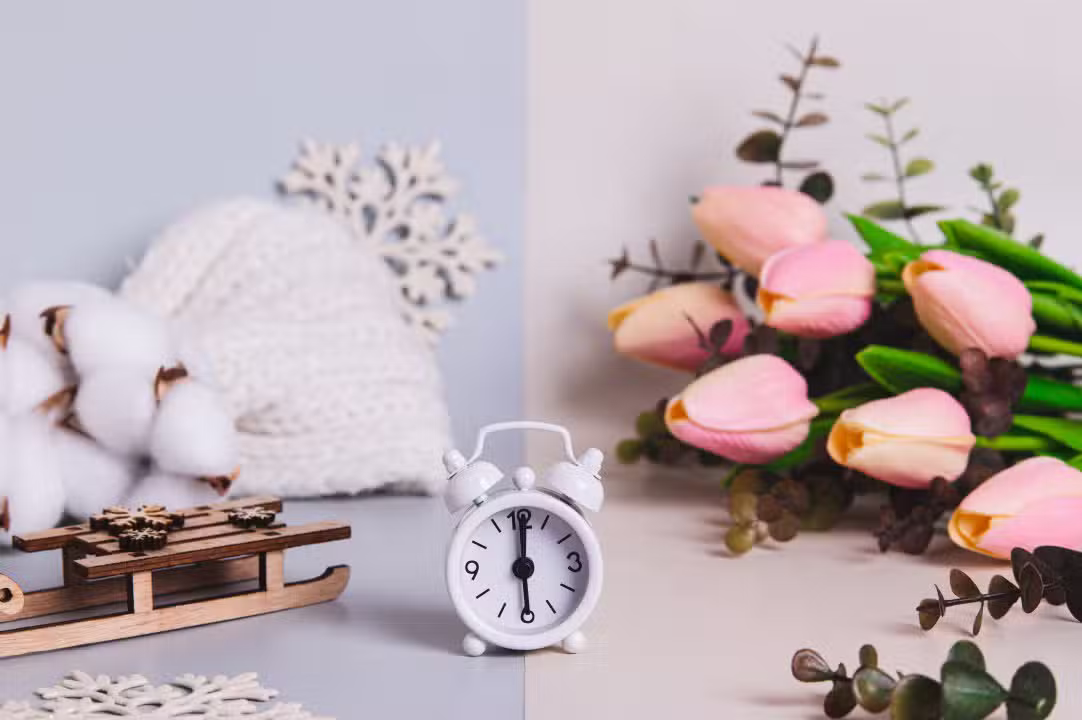 conceito do equinócio da primavera