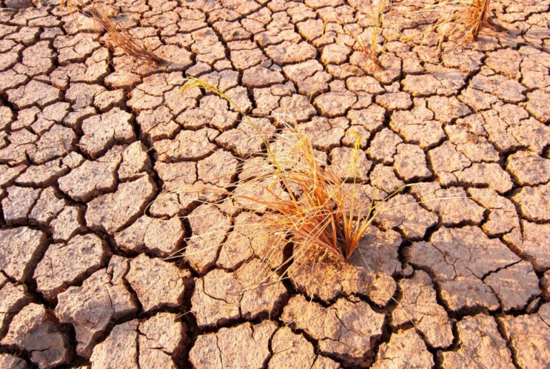 el niño