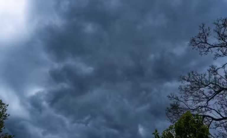 El Nino - Daria Nipot/shutterstock.com/