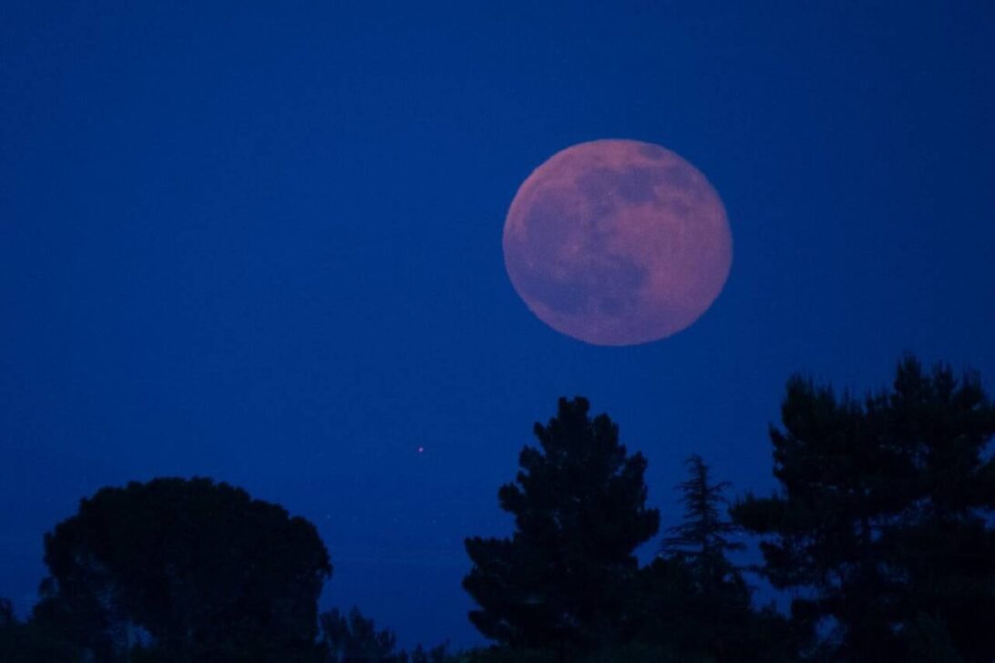 Lua rosa
