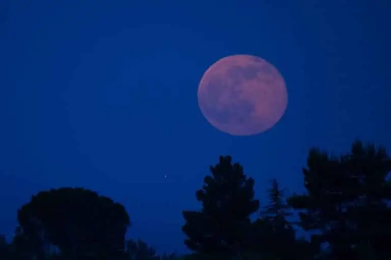Lua rosa