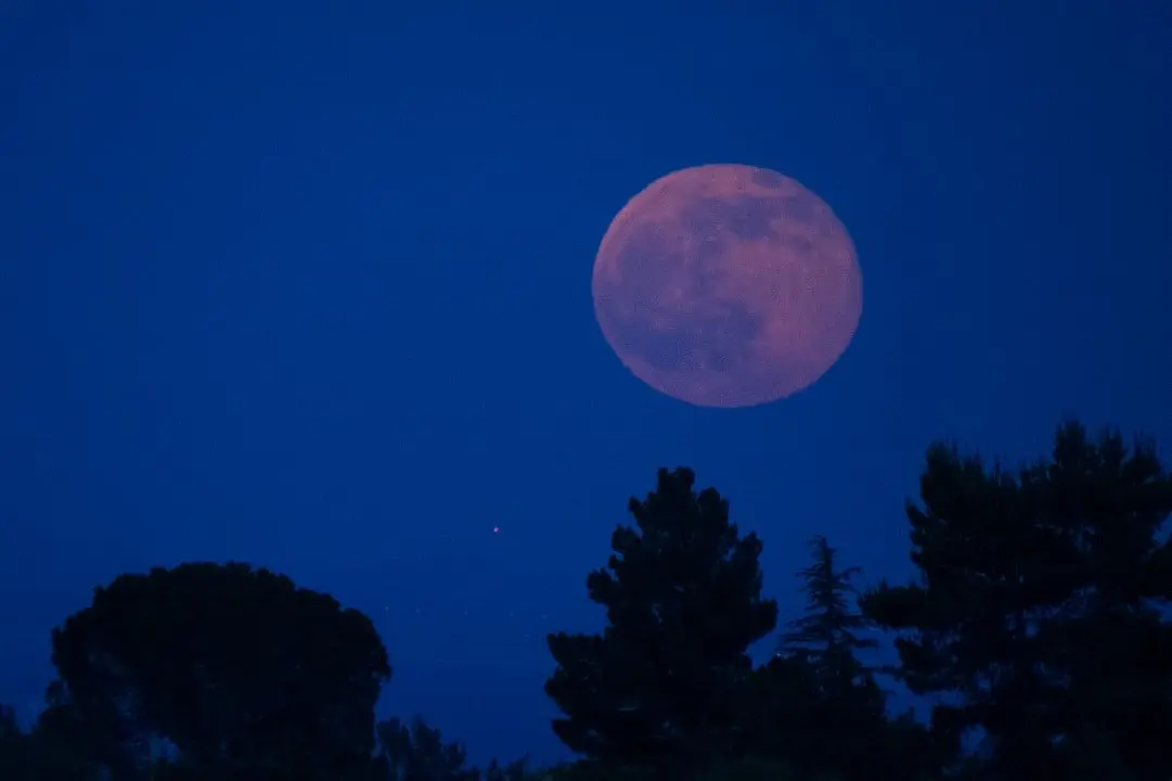 Lua rosa