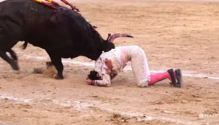 ristian Pérez gravemente ferido em Las Ventas - Divulgação