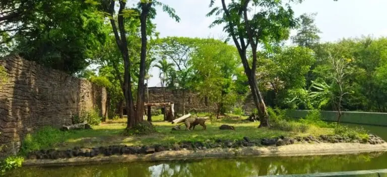 zoológico e santuário