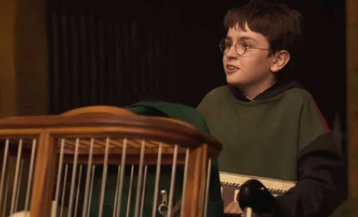À Procura de Harry - A Arte por trás da magia