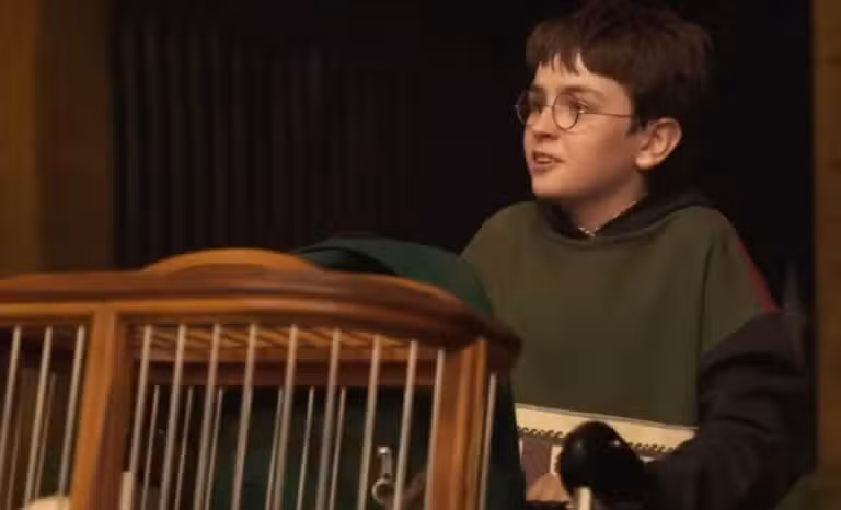 À Procura de Harry - A Arte por trás da magia