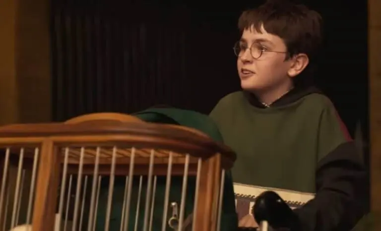 À Procura de Harry - A Arte por trás da magia