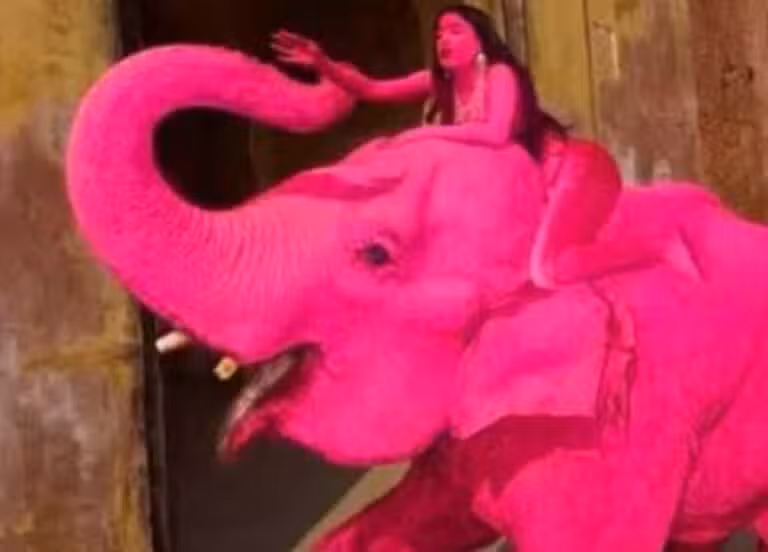 Elefanta rosa