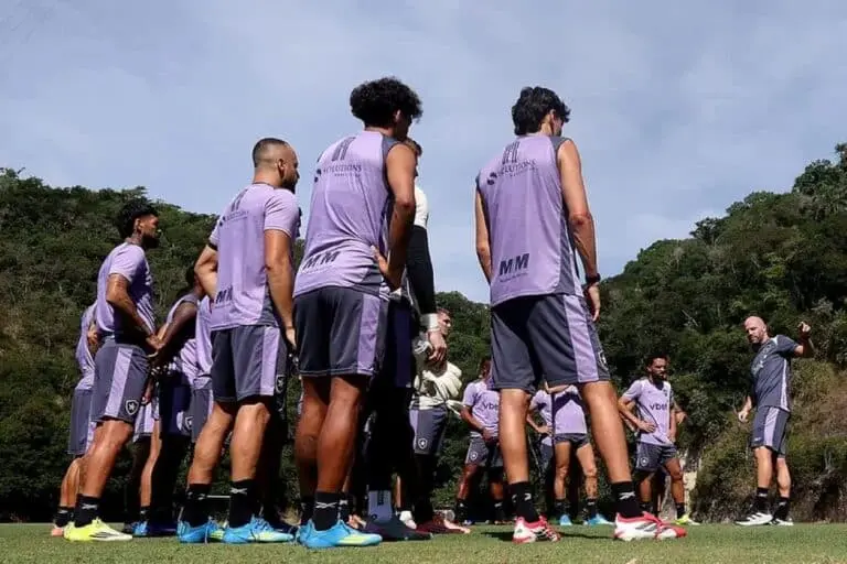 Franclim Carvalho e jogadores do Botafogo