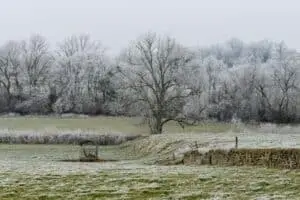 Frente fria derruba temperaturas no Sul e Sudeste com geada no RS nesta terça (16)