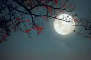 Lua Cheia das Flores em Escorpião traz transformação intensa a todos os signos em maio de 2026