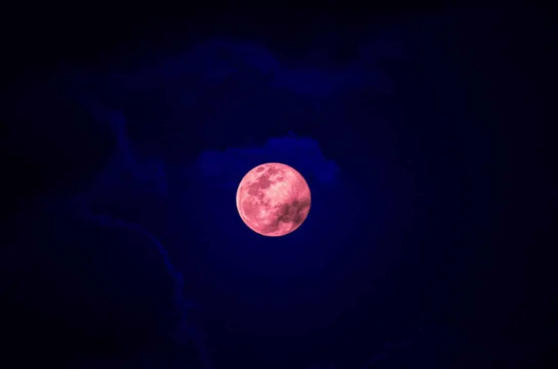 Lua Rosa
