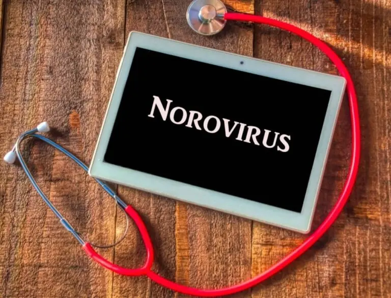 Norovírus