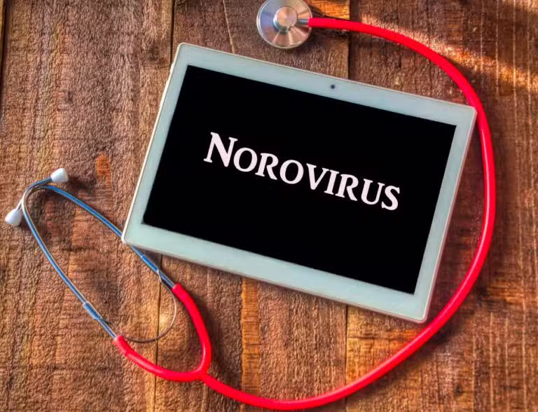 Norovírus