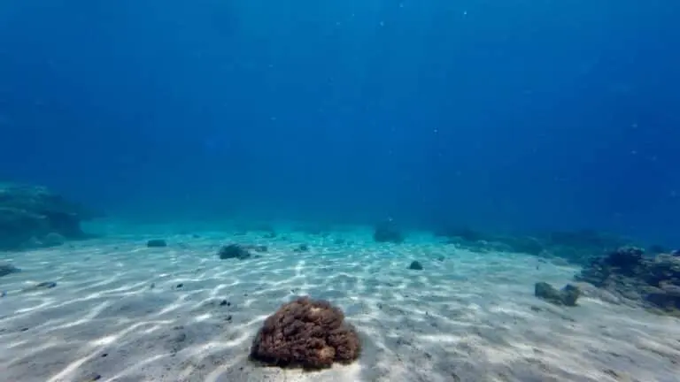 Oceano, profundeza