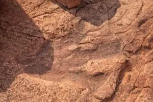 150 Millionen Jahre alte Dinosaurier-Fußabdrücke deuten auf ungewöhnliches Gehen im Jura hin